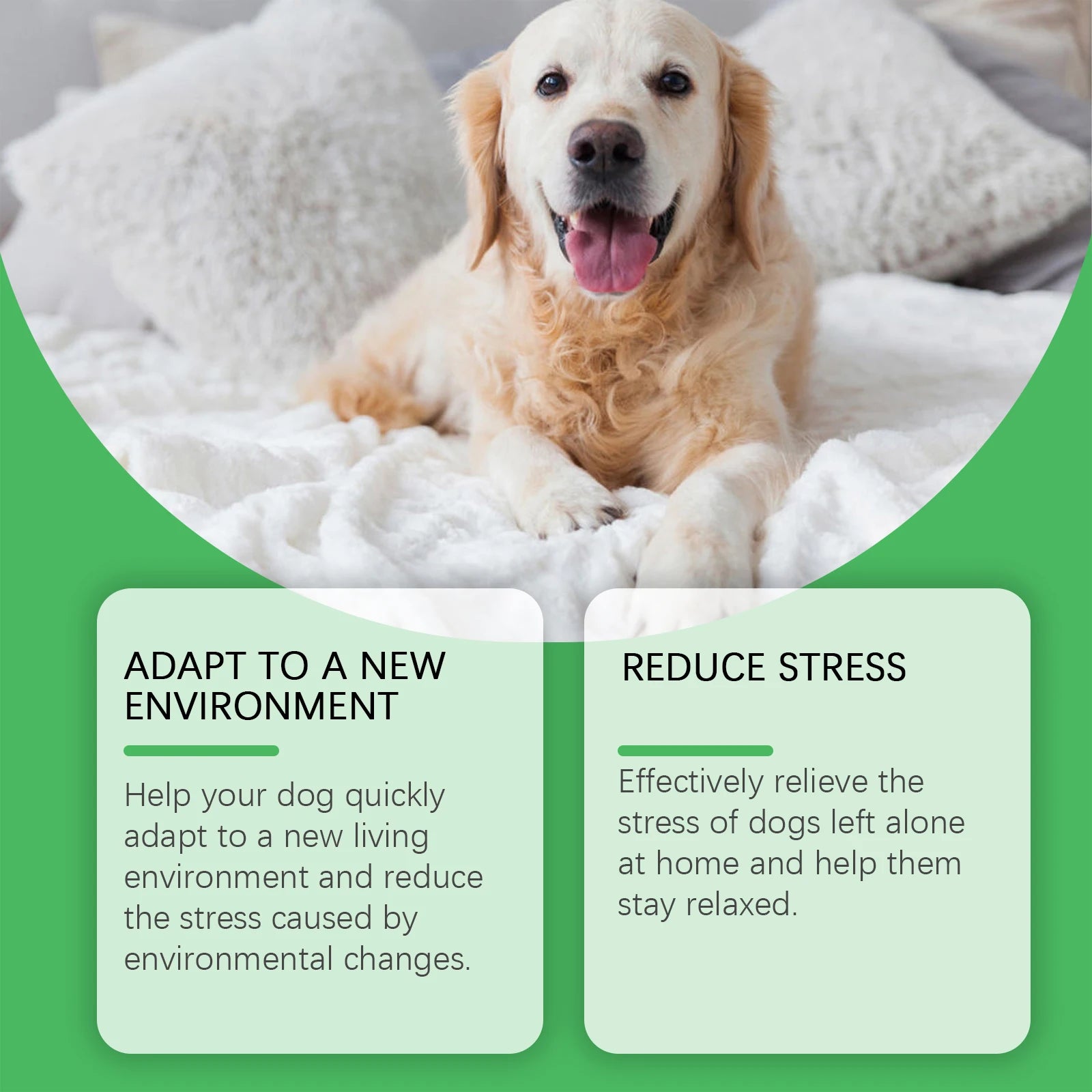 Dog Calming Diffuser Kit