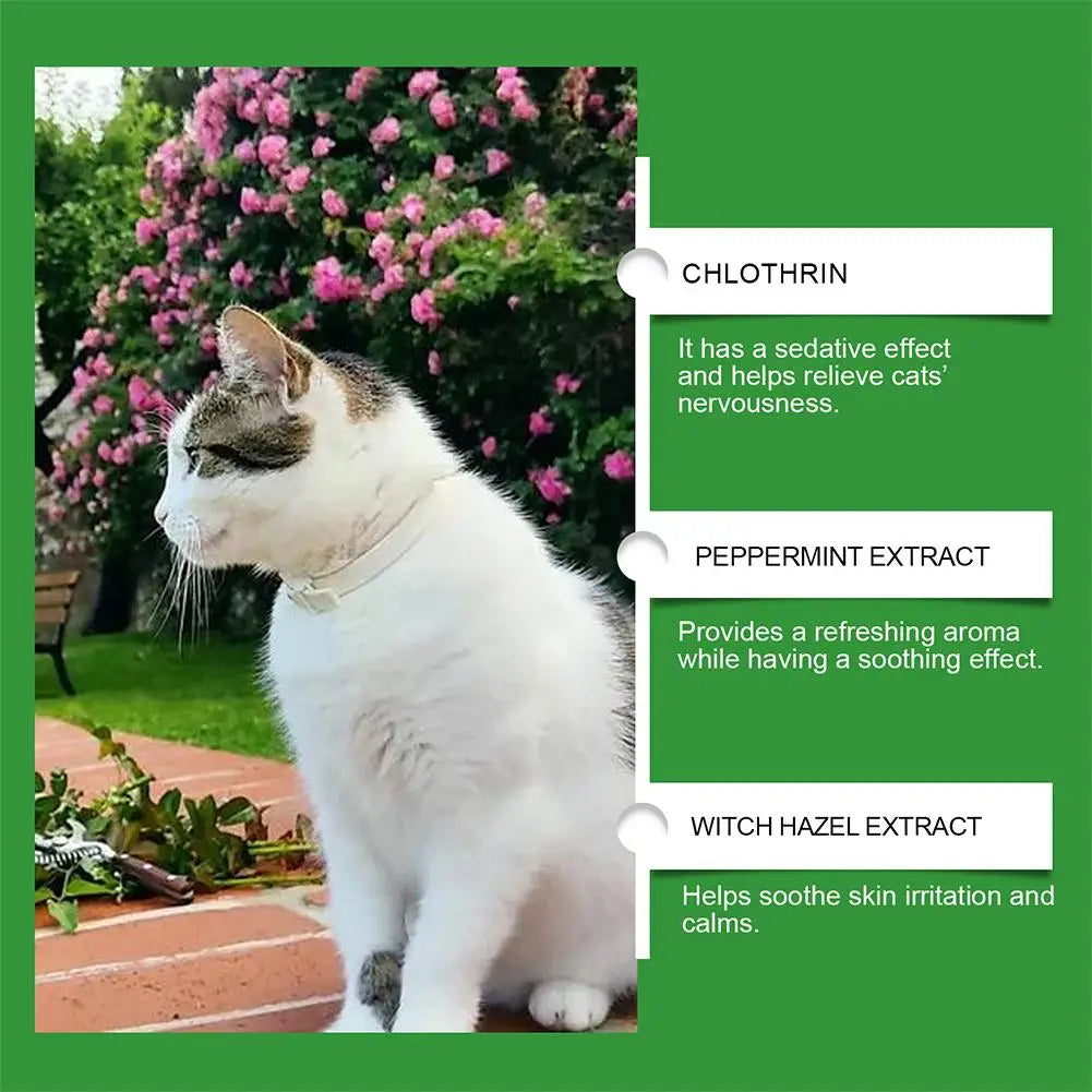 Cat Calming Diffuser Kit